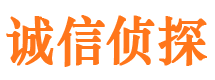 洛隆私家侦探